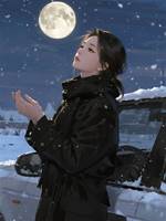 今夜雪落無聲